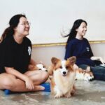 HOME by Tales Of Paws Ticket - Dog Cafe in Johor Bahru - What happens during the 75-minute session