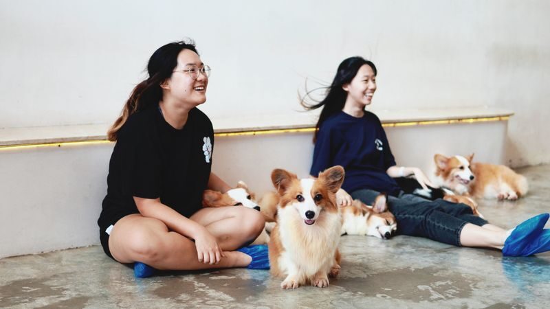 HOME by Tales Of Paws Ticket - Dog Cafe in Johor Bahru - What happens during the 75-minute session