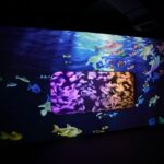 Hong Kong Cube O Discovery Park Ticket - Jellyfish displays set the pace