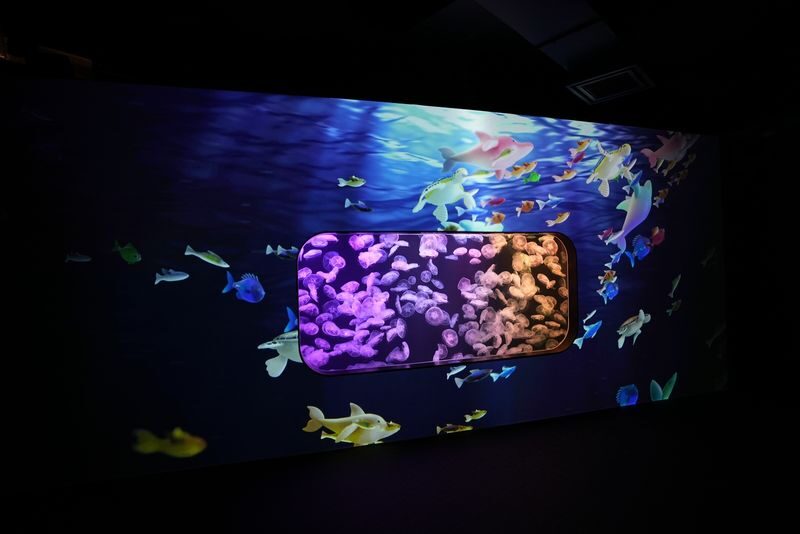 Hong Kong Cube O Discovery Park Ticket - Jellyfish displays set the pace