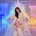 Hongdae Ice Cafe Experience: Ice Room & Drinks in Ice Cups - Step into the Ice Room