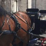 Horse-Drawn Carriage Ride Experience in Belem - What you pass along the route