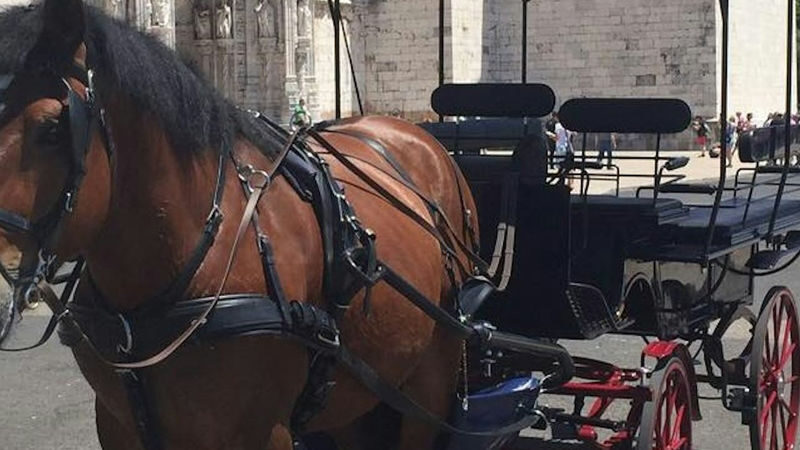 Horse-Drawn Carriage Ride Experience in Belem - What you pass along the route