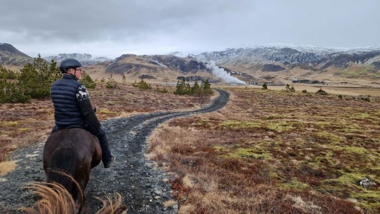 Horse riding at Reykjadalur Hot Spring Steam Valley in Hveragerdi - What the trail is like