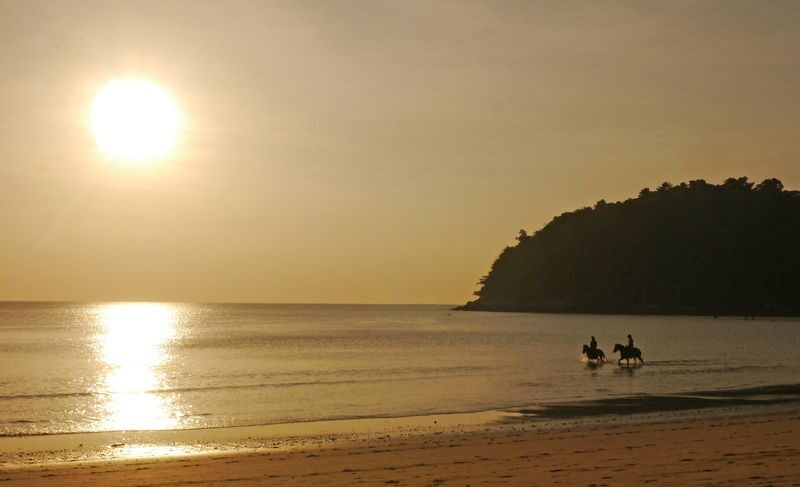 Horseback Riding Experience in Phuket - From the stable to the shoreline