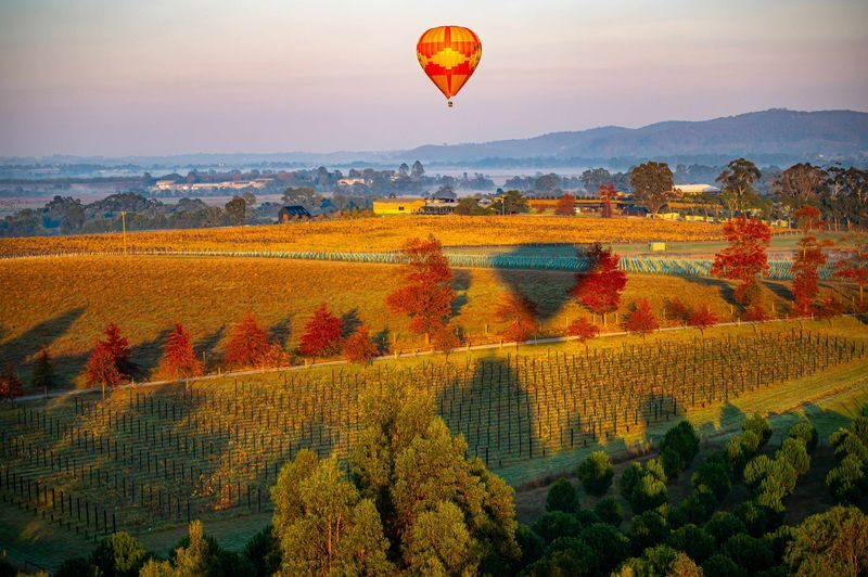 Hot Air Ballooning Experience in Yarra Valley - Watching the balloon take shape