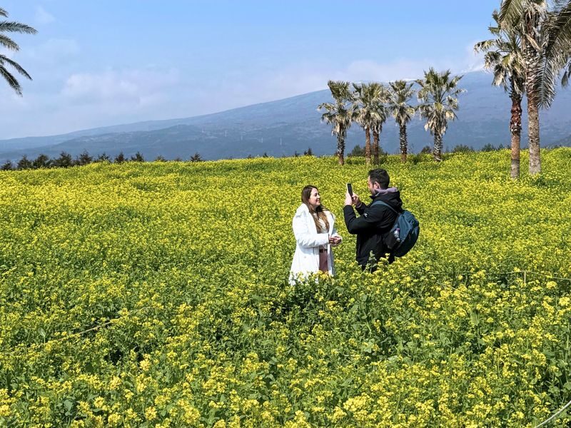 Hotel Pick-up: Canola Flower Spring Day Tour With UNESCO Spots - Eongdeongmul Valley’s quieter side