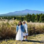 Hotel Pick-up: Jeju Autumn Pink Muhly Day Tour - Small Group - Starting with pickup, not a transport puzzle