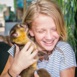 Houston Interactive Aquarium & Animal Preserve Ticket - Start with the tanks, then take your time