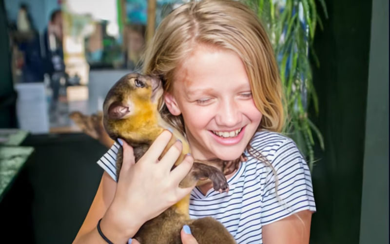 Houston Interactive Aquarium & Animal Preserve Ticket - Start with the tanks, then take your time