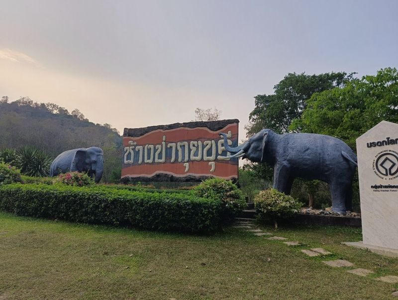 Hua Hin: Kui Buri Elephant Watching - At the park, start with the guide’s briefing