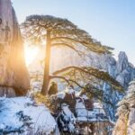 Huangshan Welcoming Pine One-Day Tour - Guangmingding means more climbing for a higher view