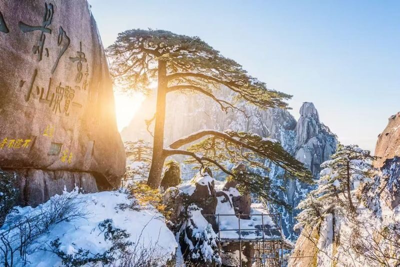 Huangshan Welcoming Pine One-Day Tour - Guangmingding means more climbing for a higher view