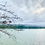 Hue Discovery Deluxe Full Day Tour - Thien Mu Pagoda offers a quieter first stop