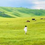 Hulunbuir Grassland & Ergun Wetland Small Group Day Tour - What a small group may mean for you