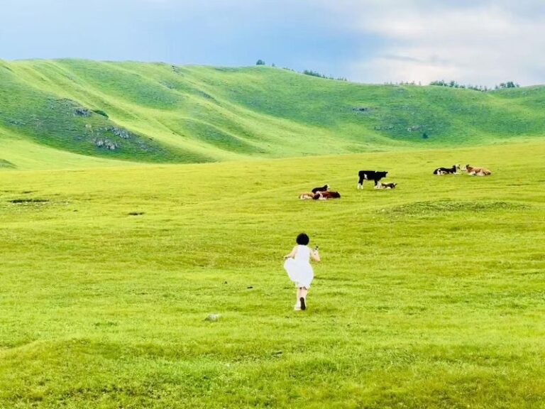 Hulunbuir Grassland & Ergun Wetland Small Group Day Tour - What a small group may mean for you
