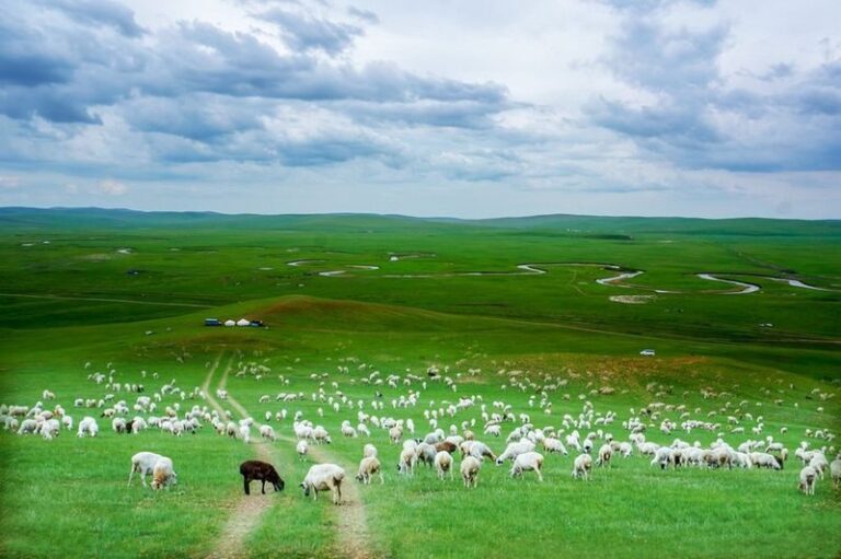 Hulunbuir Grassland Full-Day Nature Tour - What two stops can add to the day
