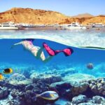Hurghada Half-Day Snorkeling to Hula Hula Island - The morning pickup and crossing from Hurghada