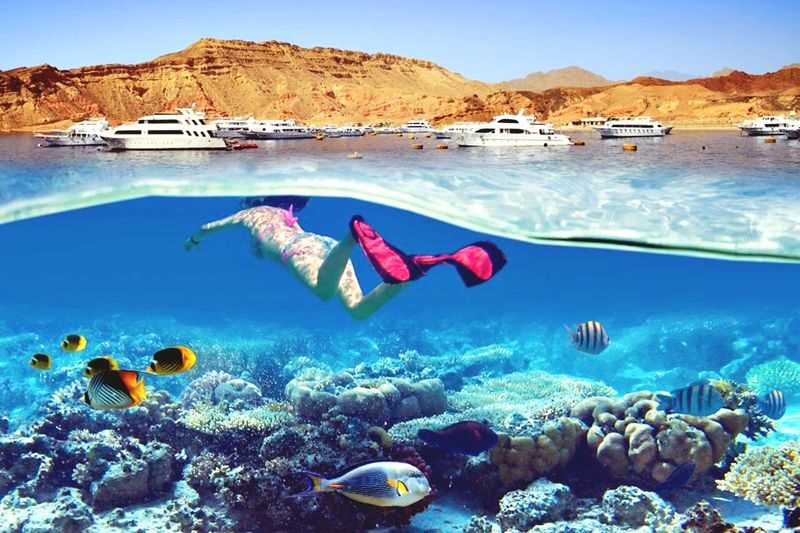 Hurghada Half-Day Snorkeling to Hula Hula Island - The morning pickup and crossing from Hurghada