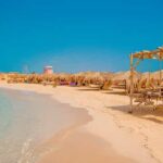 Hurghada Hula Hula Island Full-Day Tour with Snorkeling - What to expect from the snorkeling