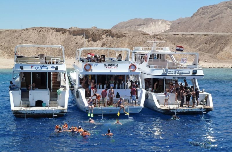 Hurghada Red Sea Full-Day Snorkeling & Dolphin Watching Tour - From hotel pickup to the Hurghada pier