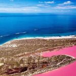 Hutt Lagoon Pink Lake Scenic Flight Experience from Geraldton - A one-hour flight with a view from above
