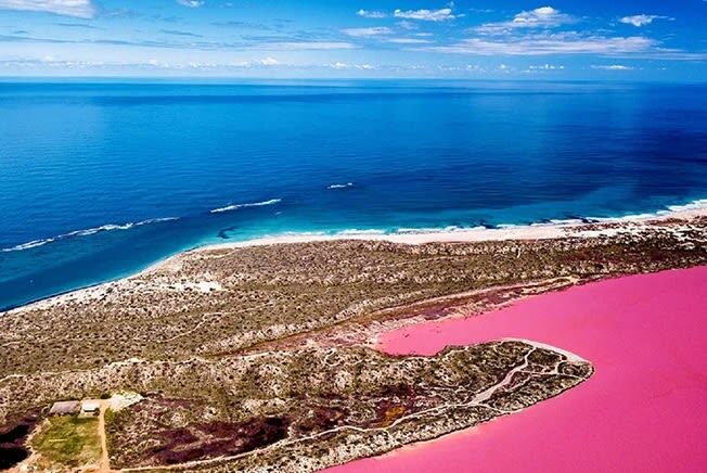 Hutt Lagoon Pink Lake Scenic Flight Experience from Geraldton - A one-hour flight with a view from above