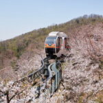 Hwadam Botanical Garden & Korean Folk Village One-day Nature & Cultural Tour - The Korean Folk Village adds a cultural counterpoint