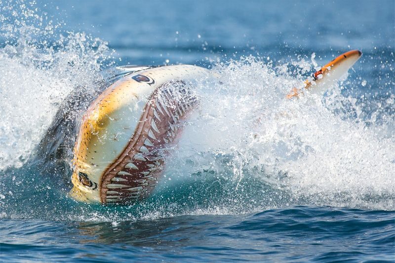 Hydro Attack Shark Ride Queenstown - How intense does the ride feel?