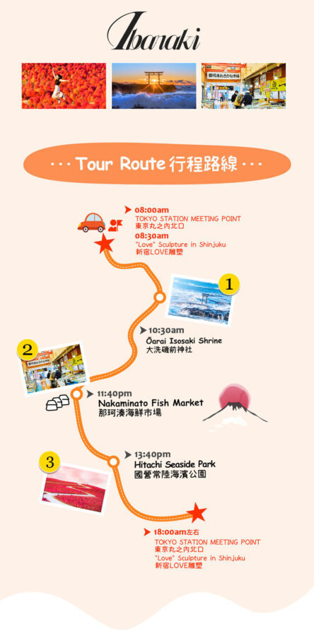 Ibaraki Coastal Flower Scenery Tour - Oarai Isosaki Shrine Torii, Nakaminato Fish Market, Hitachi Seaside Park Day Trip - Oarai Isosaki Shrine and its sea-facing gate