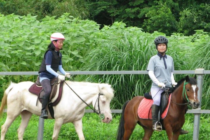 Ibaraki | Mt. Tsukuba Horseback Riding Experience - What happens during the 40-minute ride