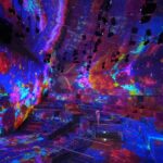 Ice Jungle Ticket in Phu Quoc - Inside the 360-degree show