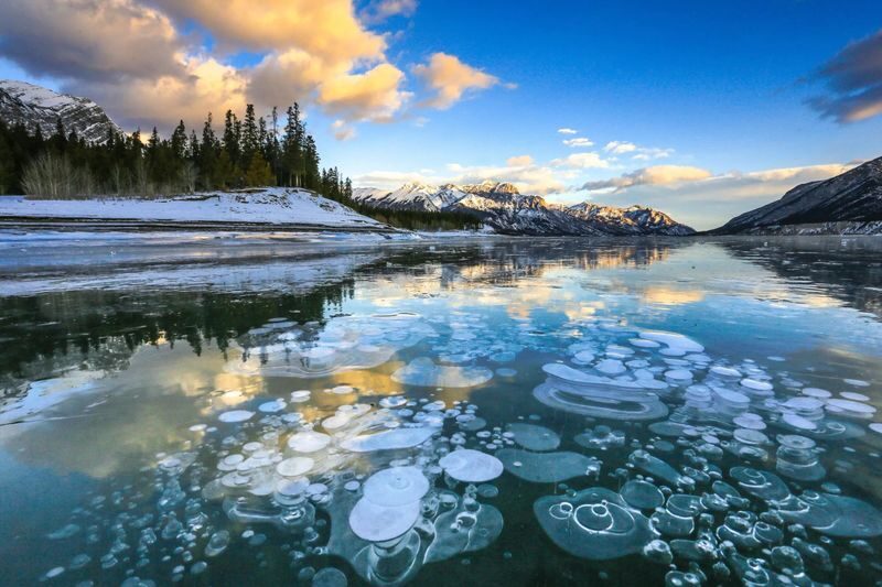 Icefields Parkway and Ice Bubbles of Abraham Lake Tour in Banff - Peyto Lake: the day’s main viewpoint walk
