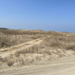Ilocos Sand Dunes ATV Adventure - Choose morning or late afternoon