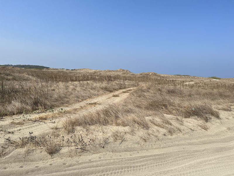 Ilocos Sand Dunes ATV Adventure - Choose morning or late afternoon