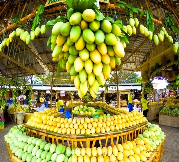 Iloilo City with Guimaras Island Full-Day Tour - Guimaras: viewpoints, heritage, and lighthouse