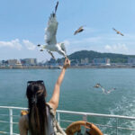 Incheon Day Tour: Luge, Railbike & Ferry with Seagull Feeding - Ganghwa Luge: the day’s adrenaline stop