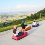 Incheon Ganghwa Luge, Rail Bike & Seagull Feeding Day Tour - The luge: the day’s biggest thrill