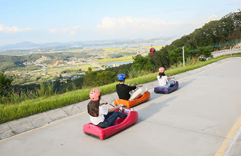 Incheon Ganghwa Luge, Rail Bike & Seagull Feeding Day Tour - The luge: the day’s biggest thrill