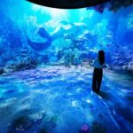 Incheon INSPIRE Resort & Seaside Rail Bike & Ganghwa Luge Day Tour - Le Space: a trip through a digital cosmos