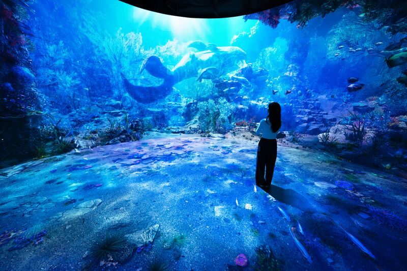 Incheon INSPIRE Resort & Seaside Rail Bike & Ganghwa Luge Day Tour - Le Space: a trip through a digital cosmos