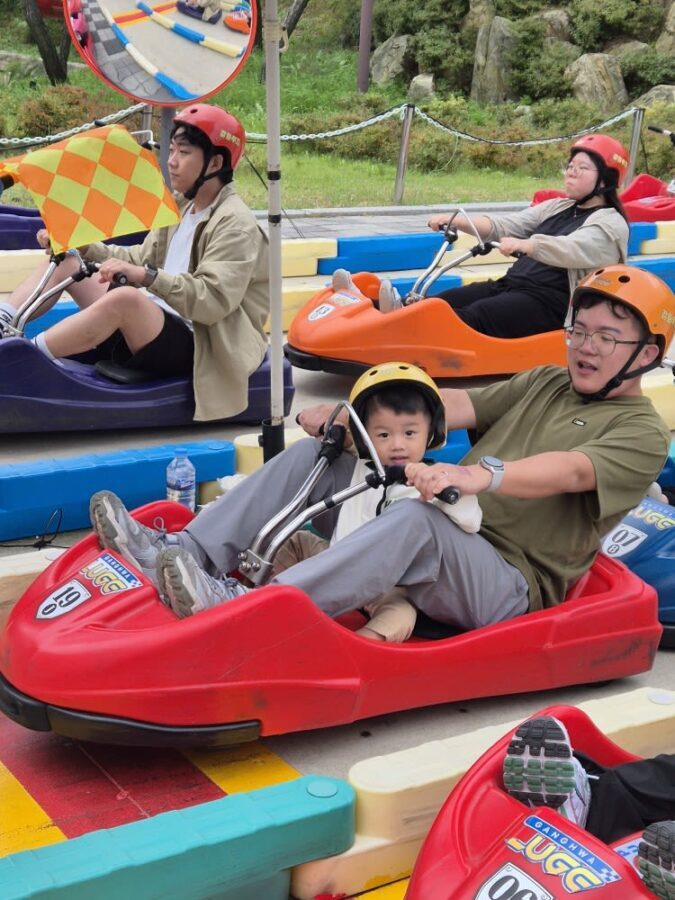 Incheon One Day Tour from Seoul: Cherry Blossoms, Luge & Rail Bike - Ganghwa Luge: the day’s biggest thrill