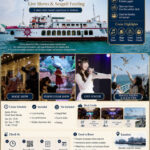 Incheon Wolmido Sightseeing & Fireworks Cruise with Live Shows & Seagull Feeding - The daytime cruise: views, music, and a little magic