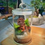 Indoor Plant and Moss Terrarium Workshop by Little Eden Succulents - How the one-hour workshop unfolds