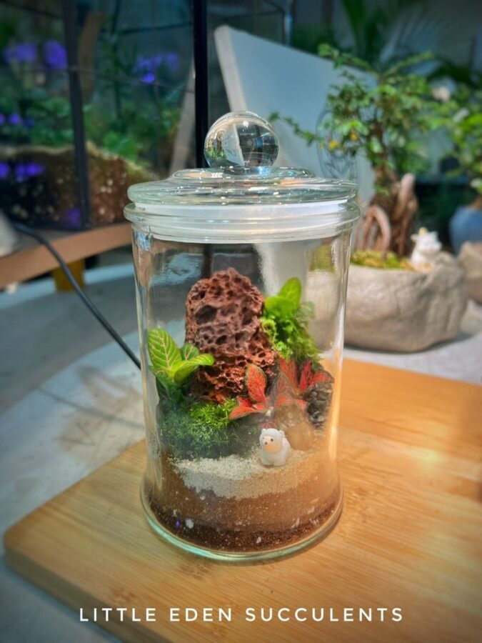 Indoor Plant and Moss Terrarium Workshop by Little Eden Succulents - How the one-hour workshop unfolds