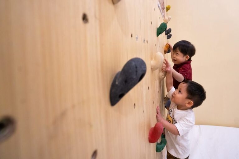 Indoor Rock Climbing Experience at Project Rock in Penang - From safety orientation to your first climb