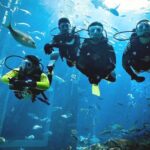 Intro Diving and Snorkeling Tour in Hurghada - Two snorkeling sites, with room to rest