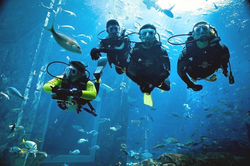 Intro Diving and Snorkeling Tour in Hurghada - Two snorkeling sites, with room to rest