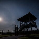 Iriomote Island Stargazing & Jungle Night Tour (Okinawa) - Stargazing on an island with little artificial light