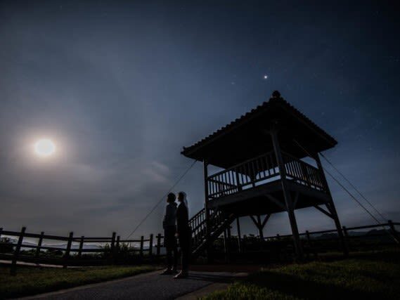 Iriomote Island Stargazing & Jungle Night Tour (Okinawa) - Stargazing on an island with little artificial light